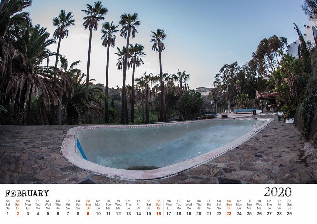 Dreaming about palmtrees, blue skies and backyard pools. Bailgun February calendar page ready to download > print or save as wallpaper on your digital screen. Bailgun.com #2020